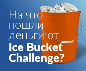Живи сейчас