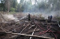 МЧС: Московской области добровольцы не нужны