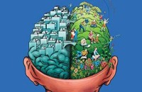 Интеллектуальный фитнесс