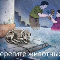 Компания Apple пришла на помощь русским защитникам животных