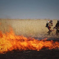 Как волонтёры меняют мир. Лучшие короткометражные фильмы