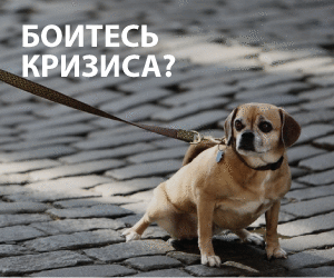 Управляем НКО от А до Я