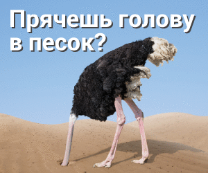 Конференция «Белые ночи фандрайзинга»