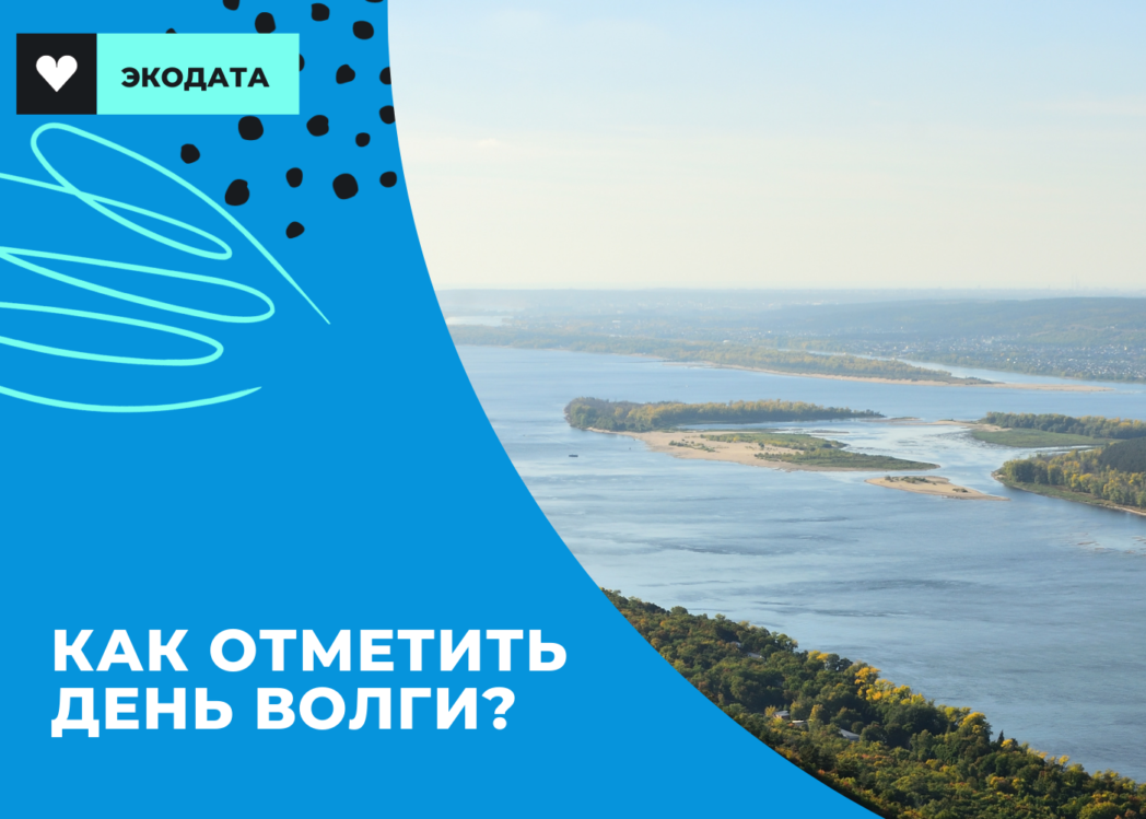 День Волги. 20 Мая день Волги. 20 Мая праздник день Волги. День Волги 20 мая картинки.